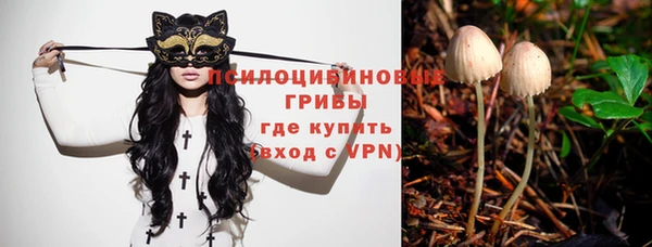молекула духа Покровск