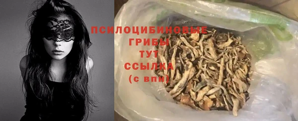 молекула духа Покровск