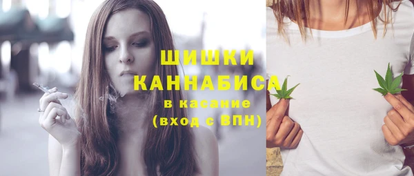 сатива Приозерск
