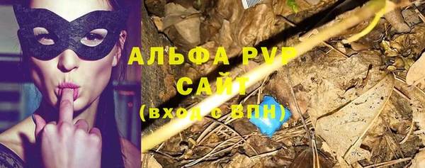 молекула духа Покровск