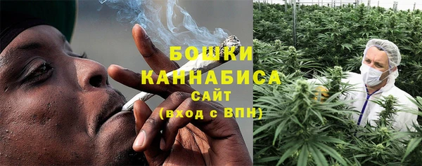 молекула духа Покровск