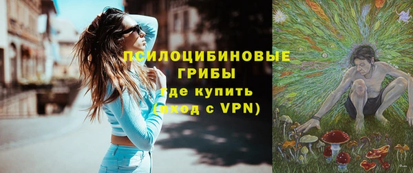 шишки Волосово