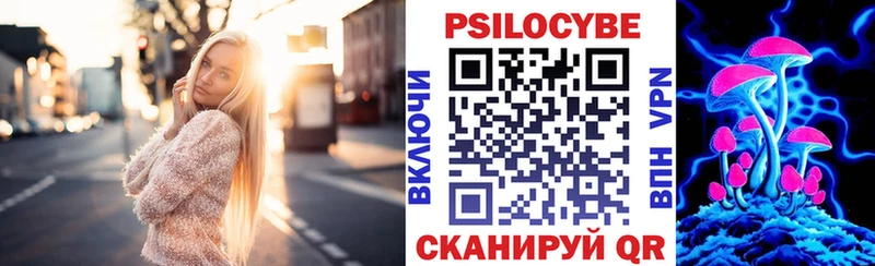 Купить где  Верхняя Пышма  Галлюциногенные грибы GOLDEN TEACHER 